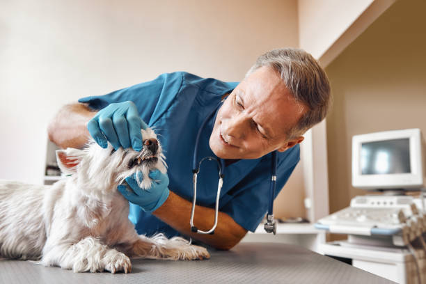Best Emergency Tooth Extraction in Roosevelt, UT